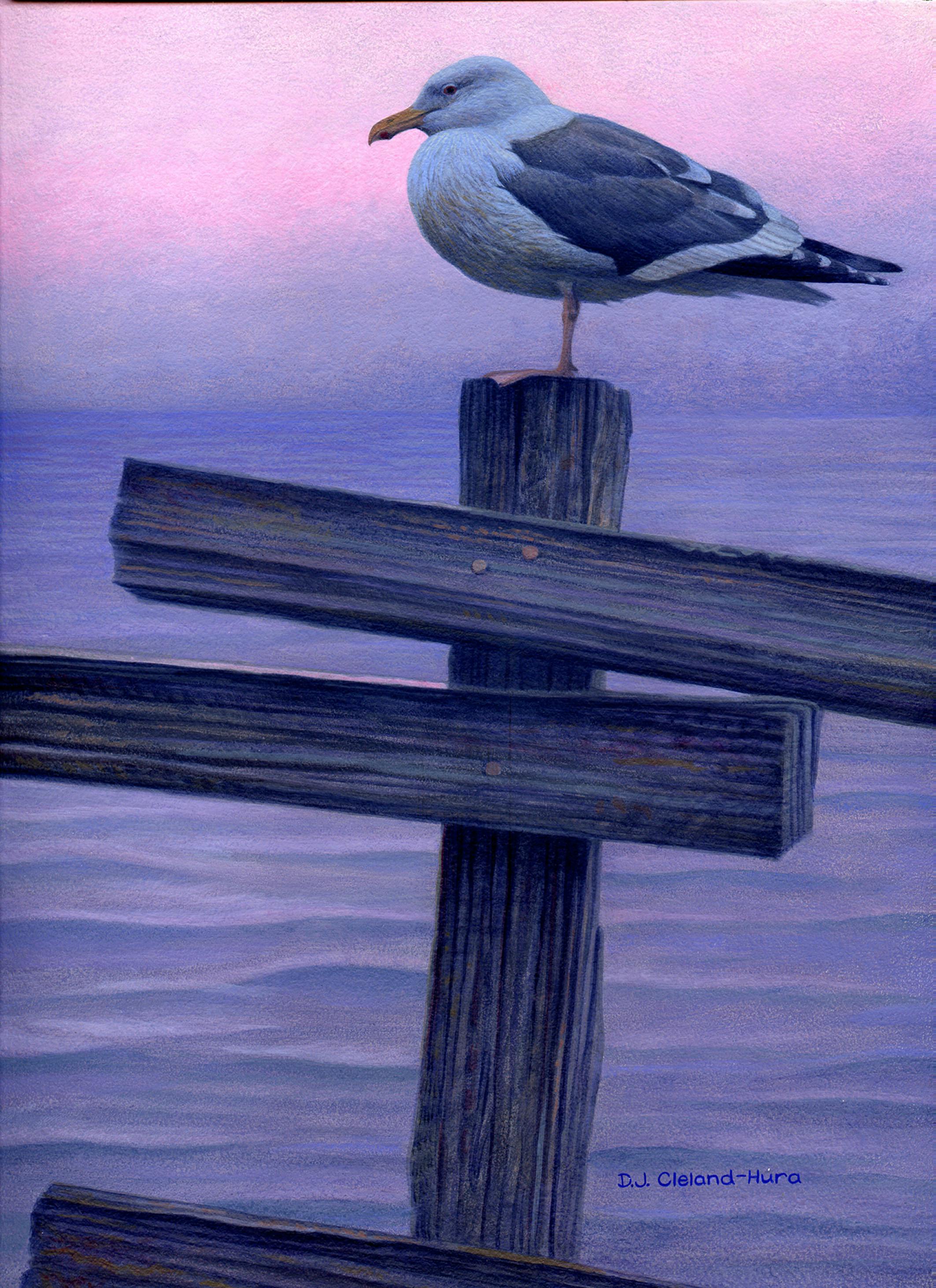 A seagull resting on a fence post