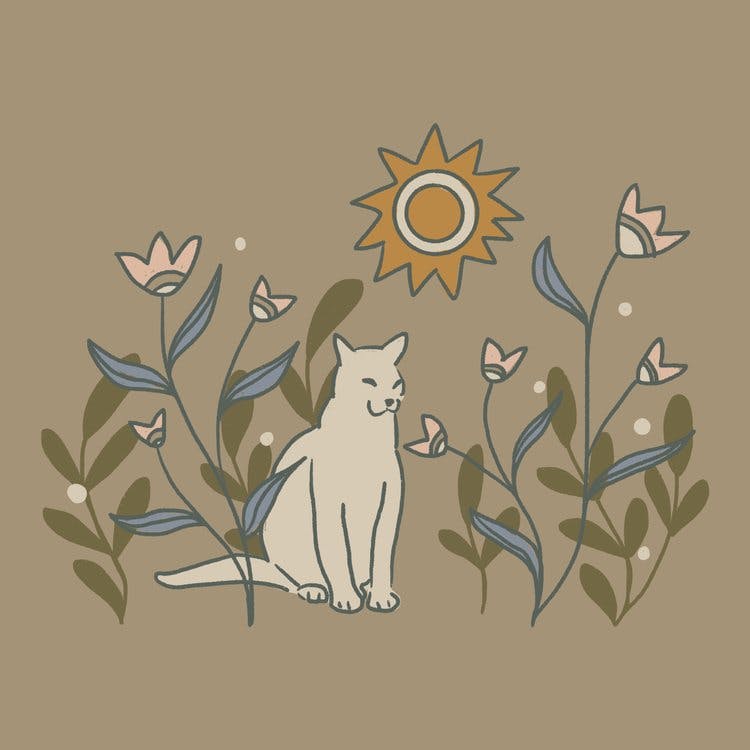Illustration of a cat in the sun