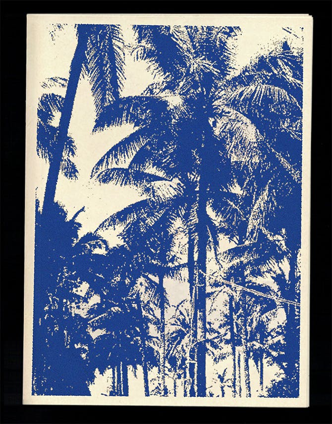 duotone of palm trees