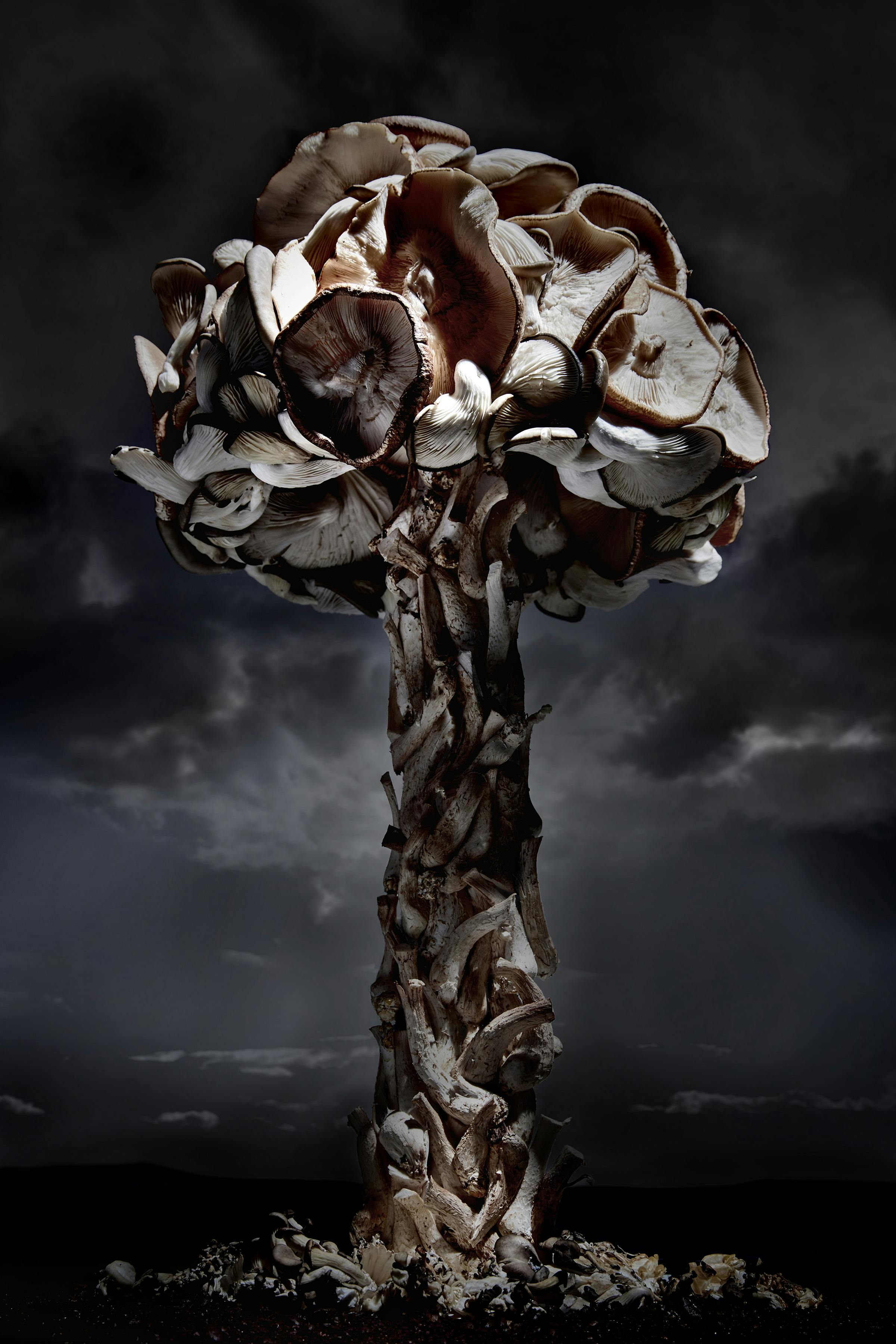 A mushroom cloud made of mushrooms