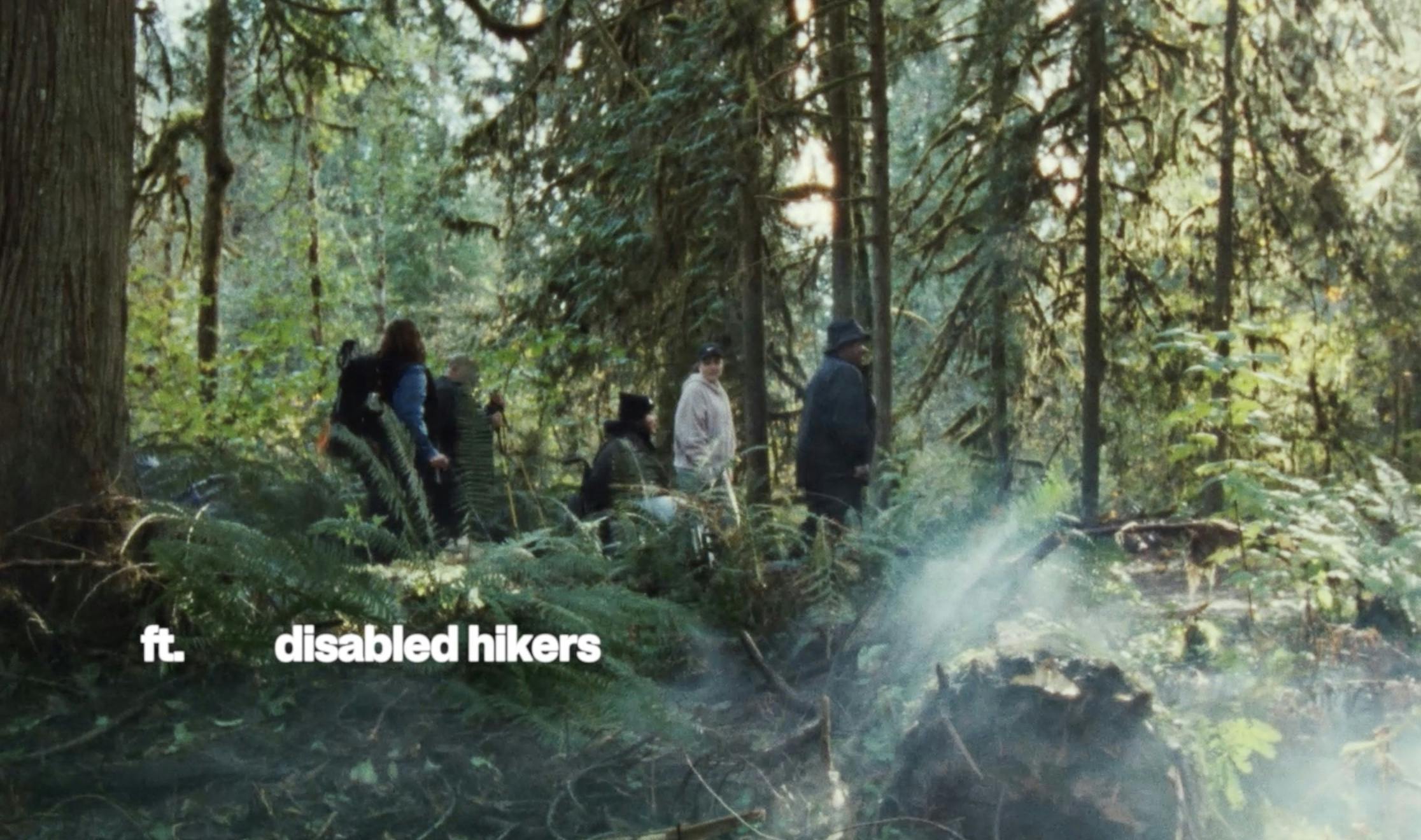 Photograph of the woods