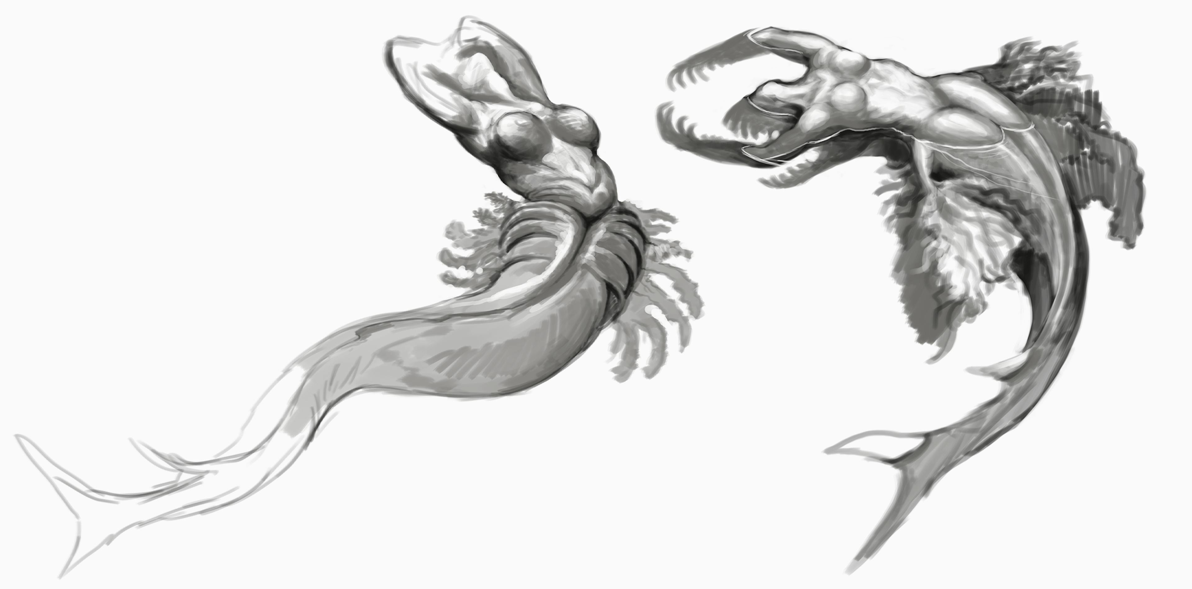 Sketches of mermaids