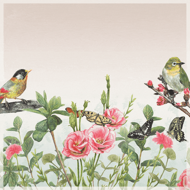 Illustration of garden