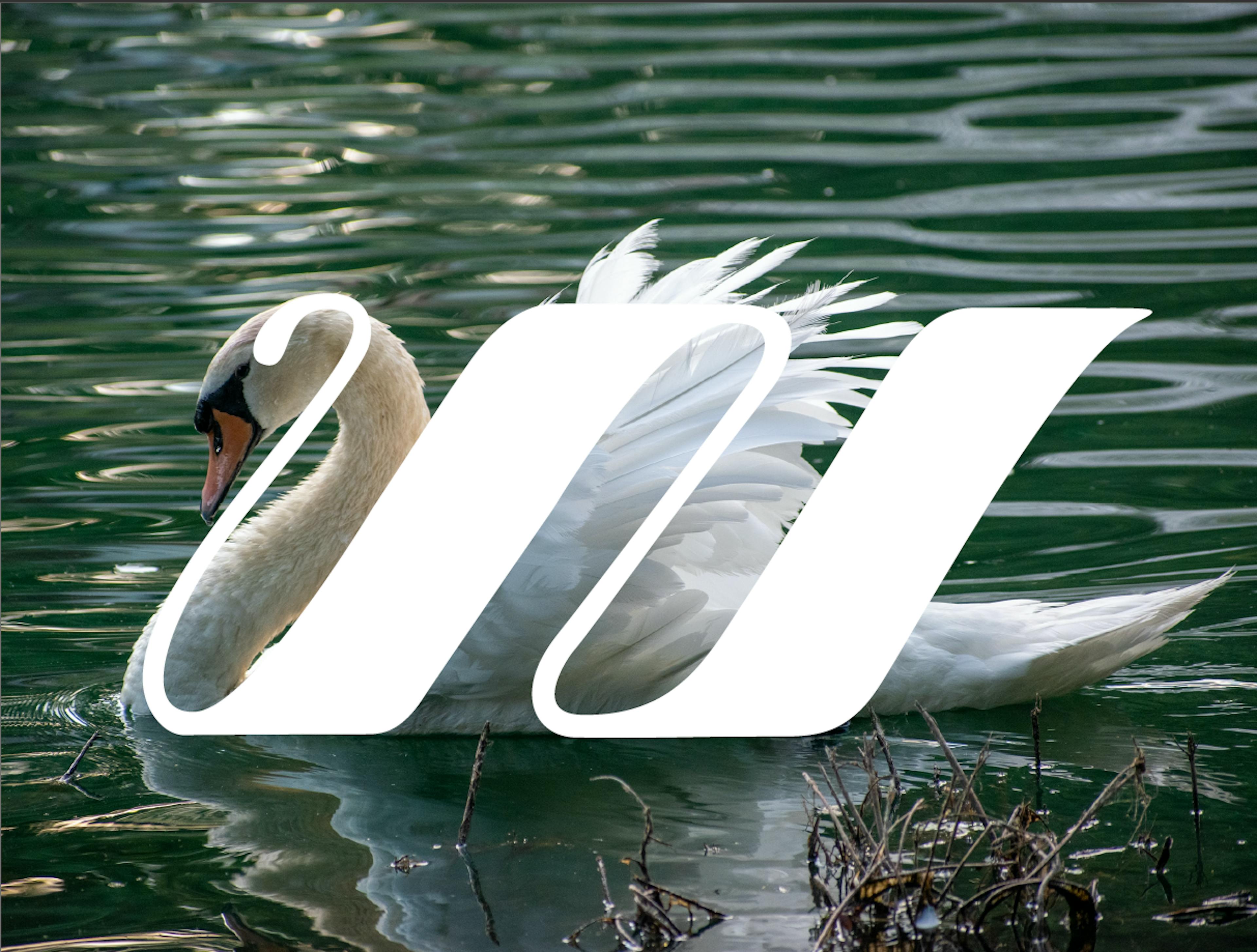 Swan based logo