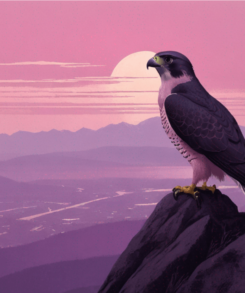 dean-jones-eagle