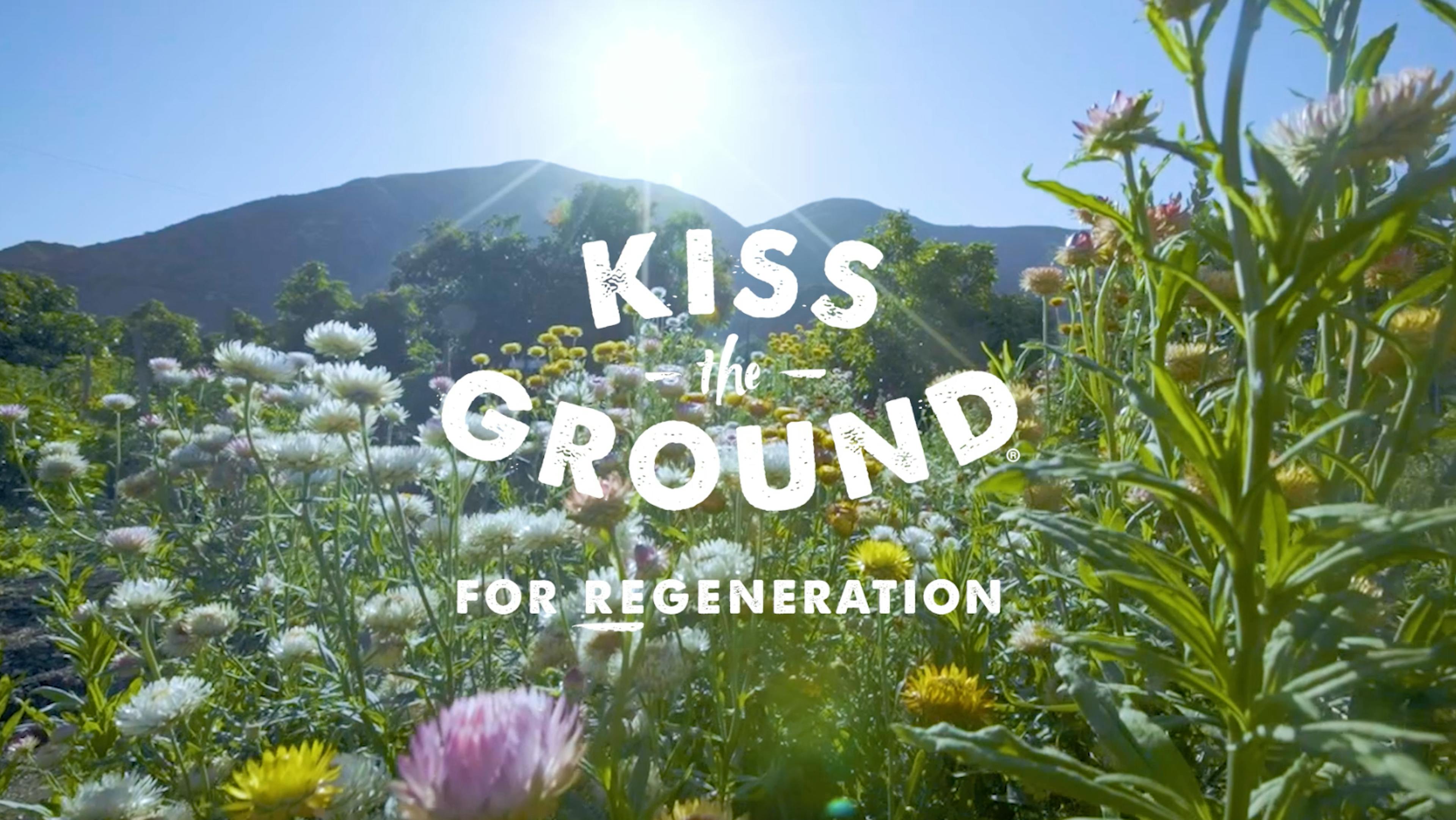 An image with the Kiss the Ground logo over a field of wildflowers with the sun in the bakground.