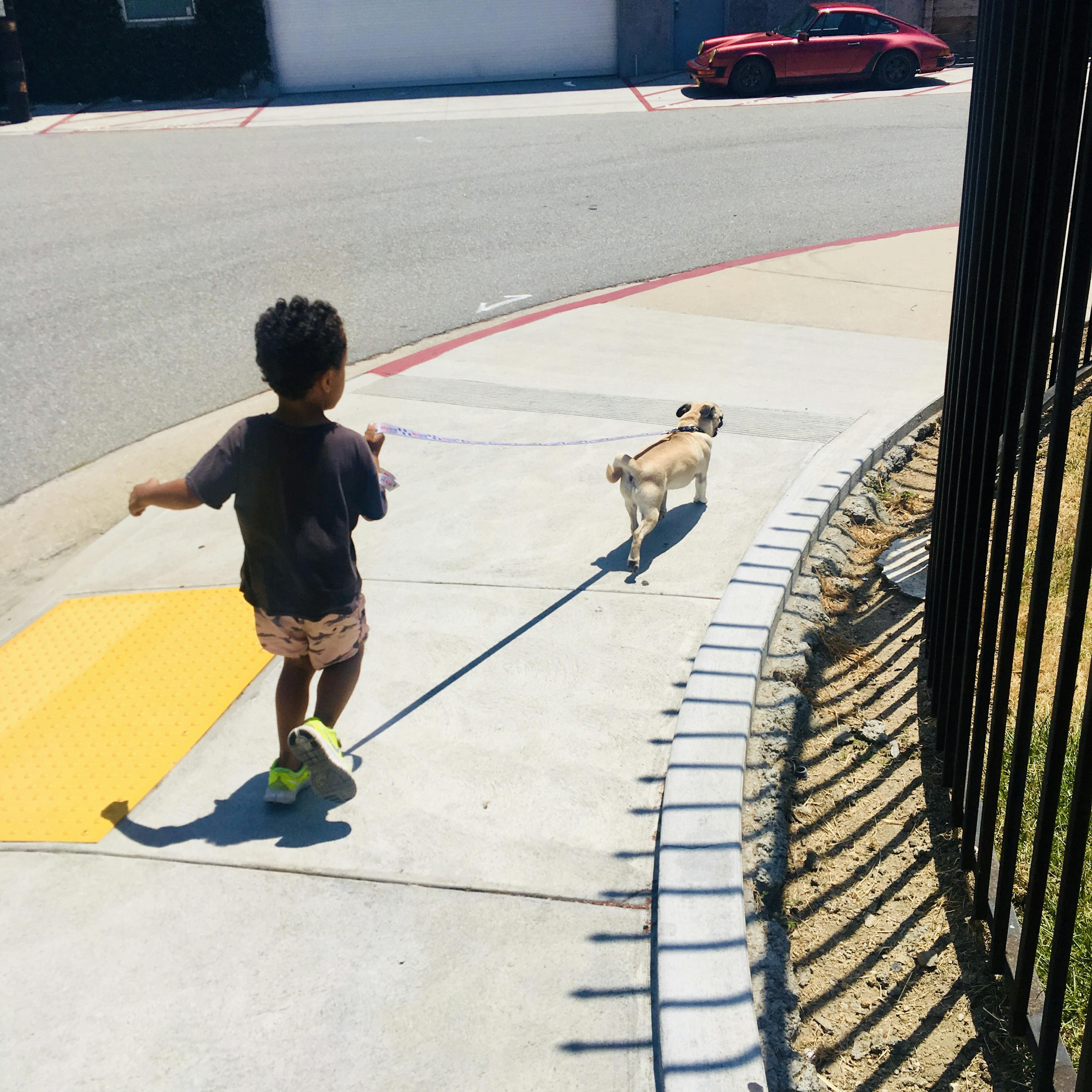 Child walking dog