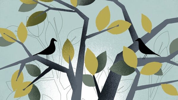 illustration of birds in a tree