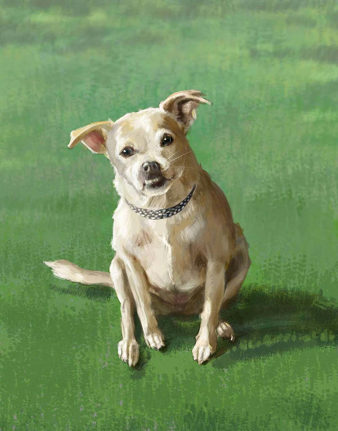 Portrait of a dog