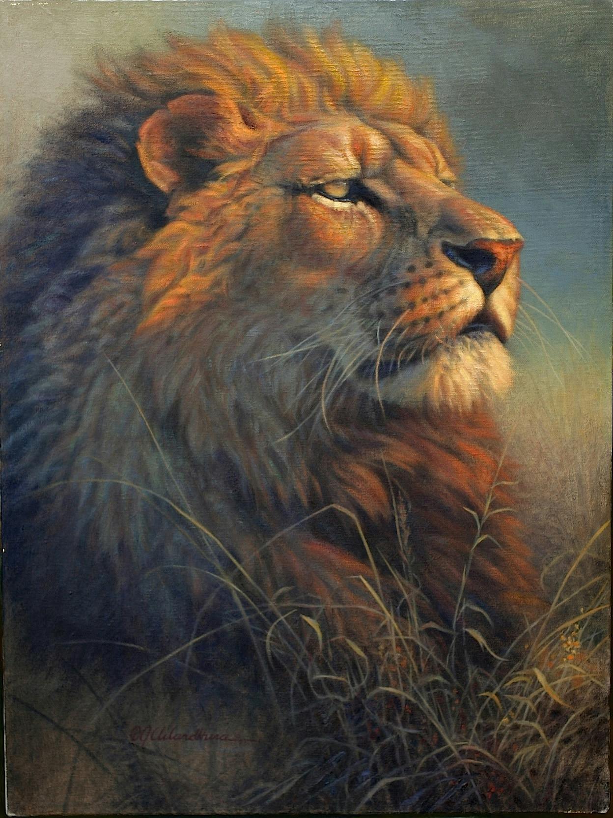 Portrait of a lion