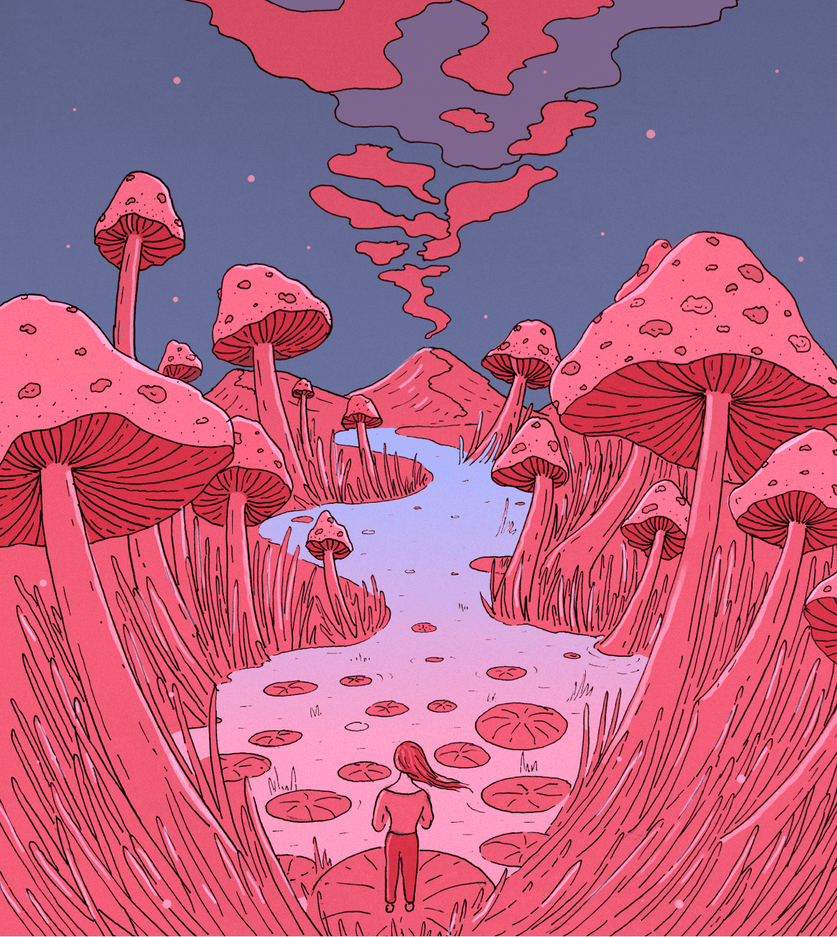 A mushroom forest