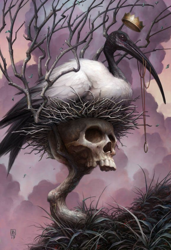 An illustration of an ibis in a nest on a skull