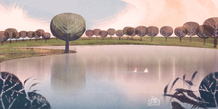 A landscape illustration of ducks in a pond surrounded by round trees