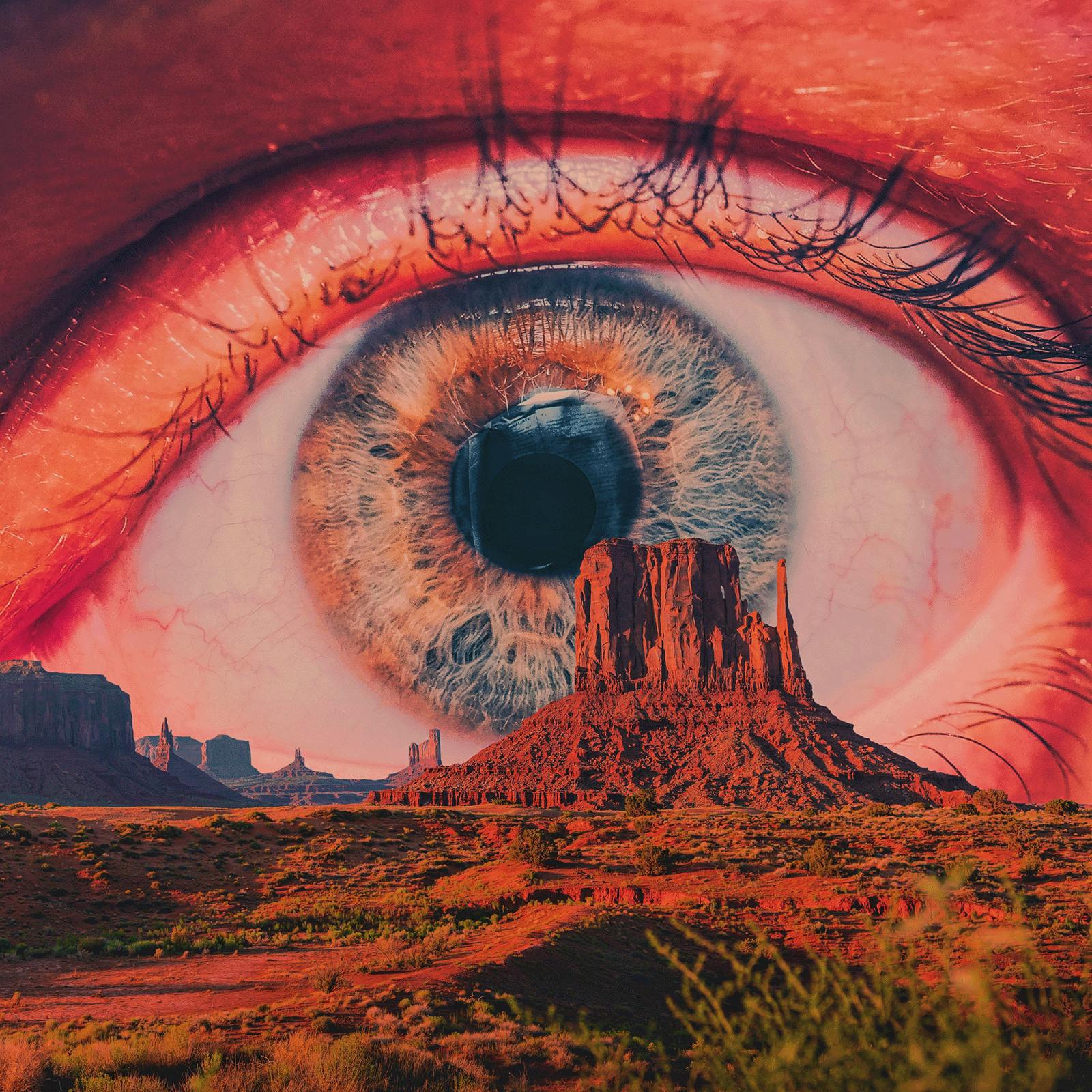 A collage of a giant eye looking an Monument Valley