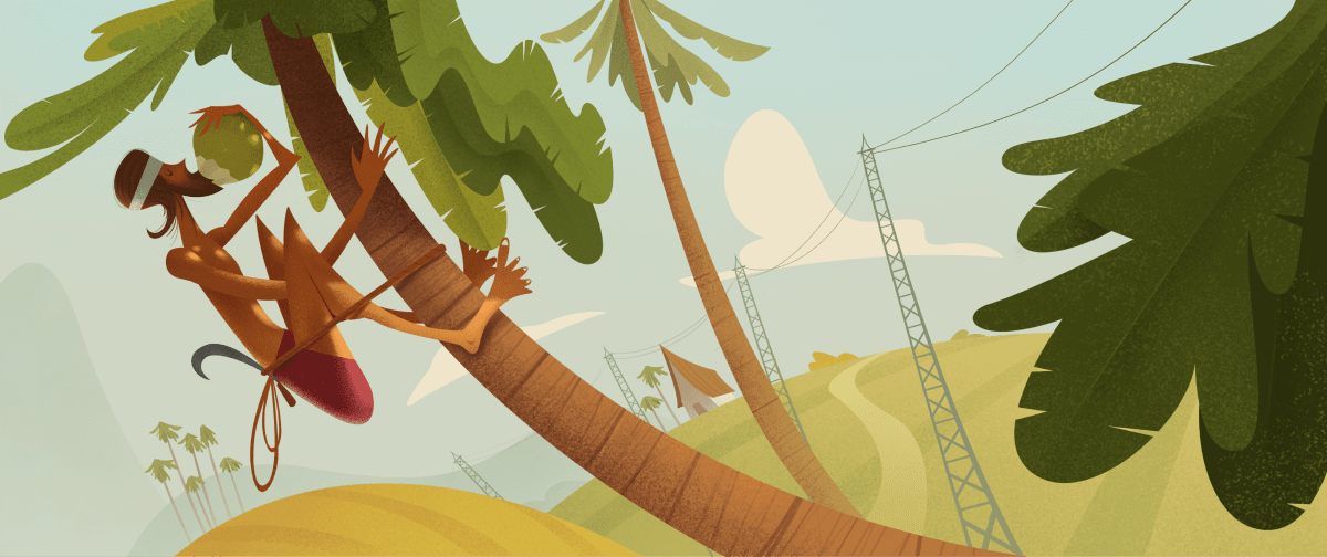 A man climbing a palm tree