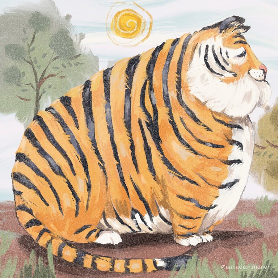 A fat tiger