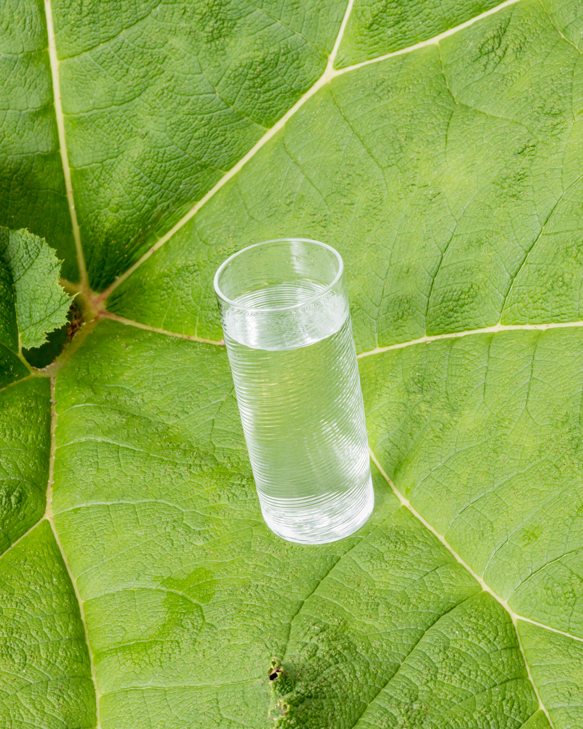 GMIH202○Glas Italia / グラスイタリア LAGUNA ラグ GMIH202○Glas