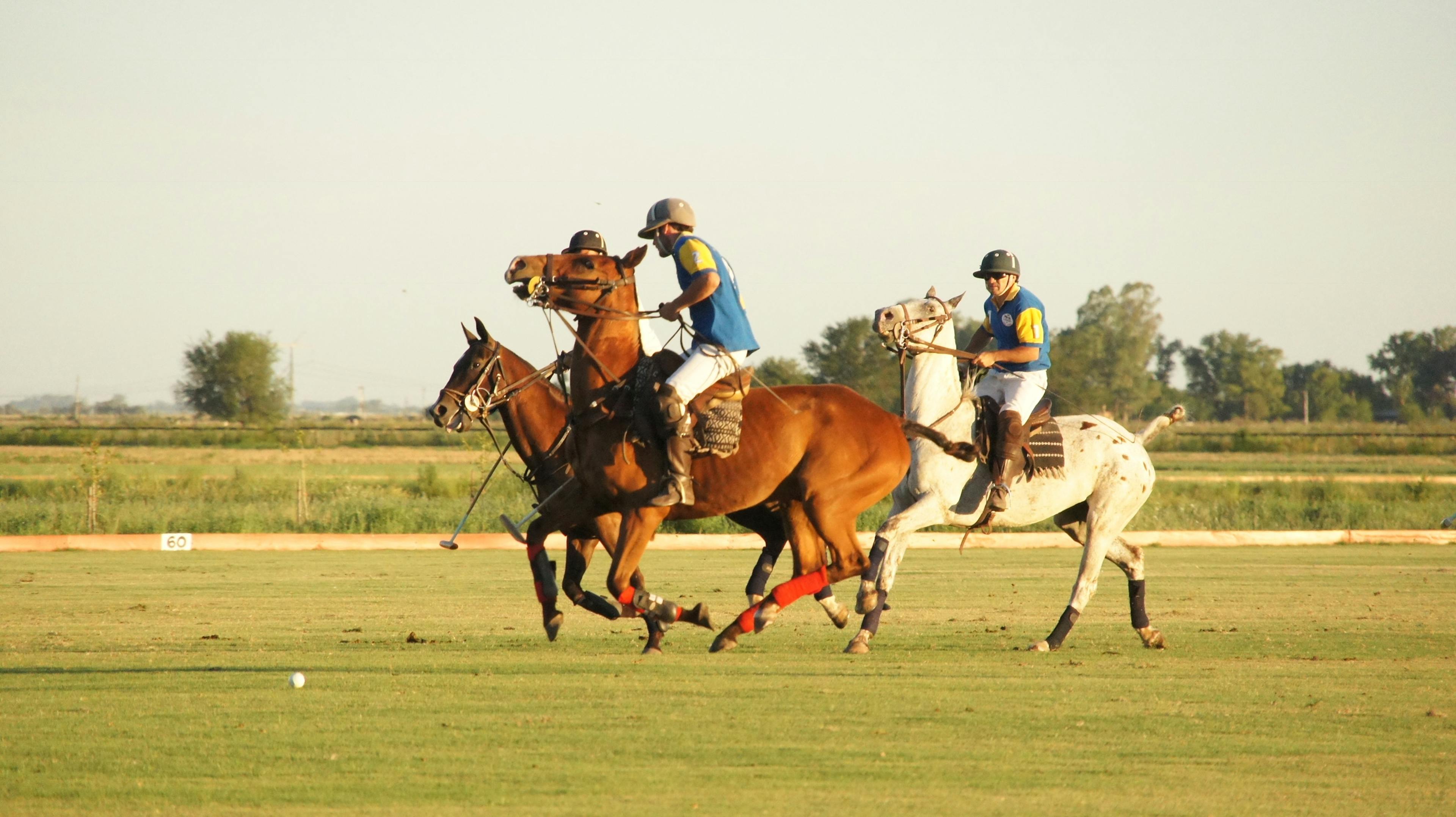 La ilusión club de polo