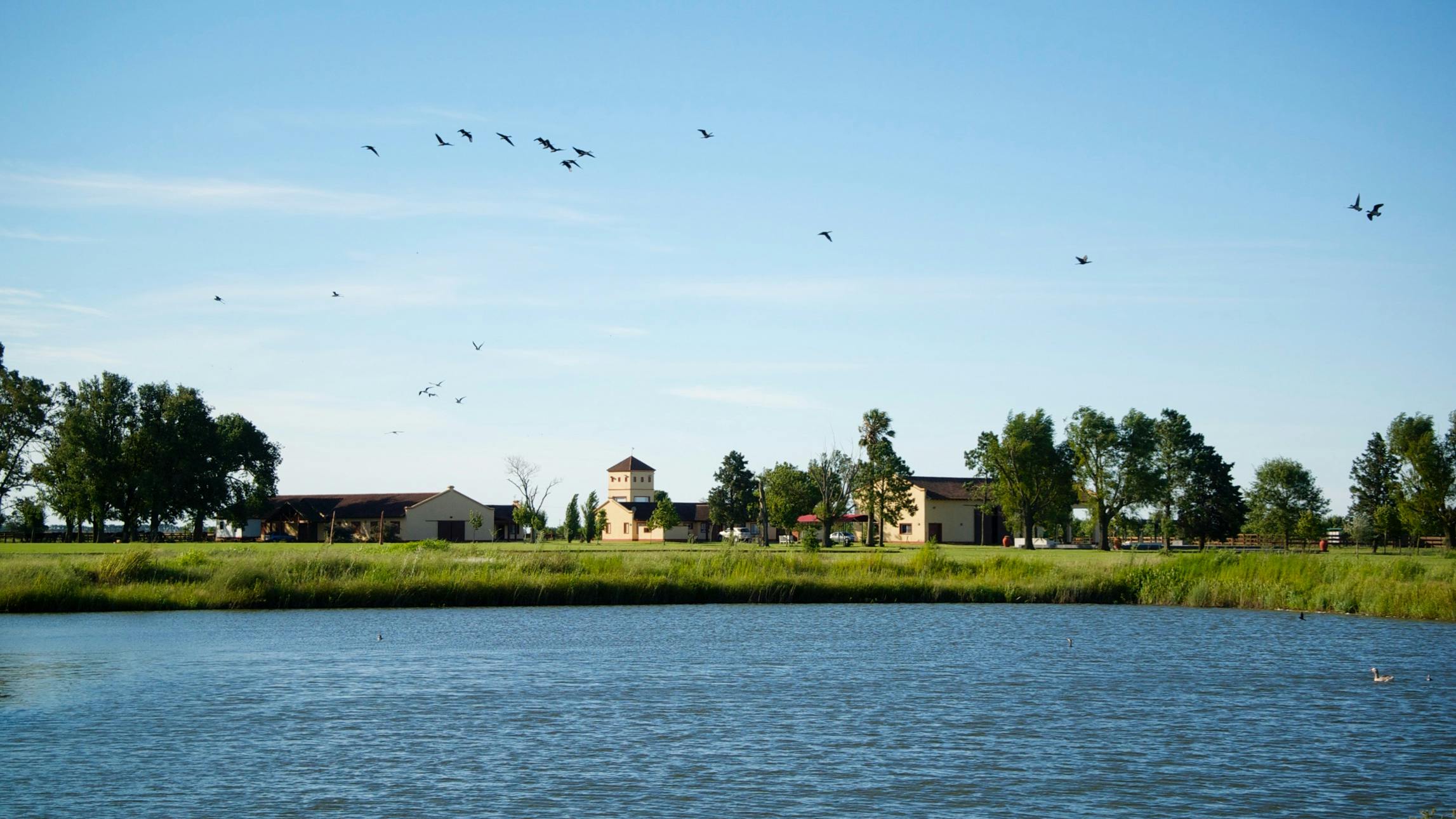polo, naturaleza, campo, familia, descanso, exclusivo