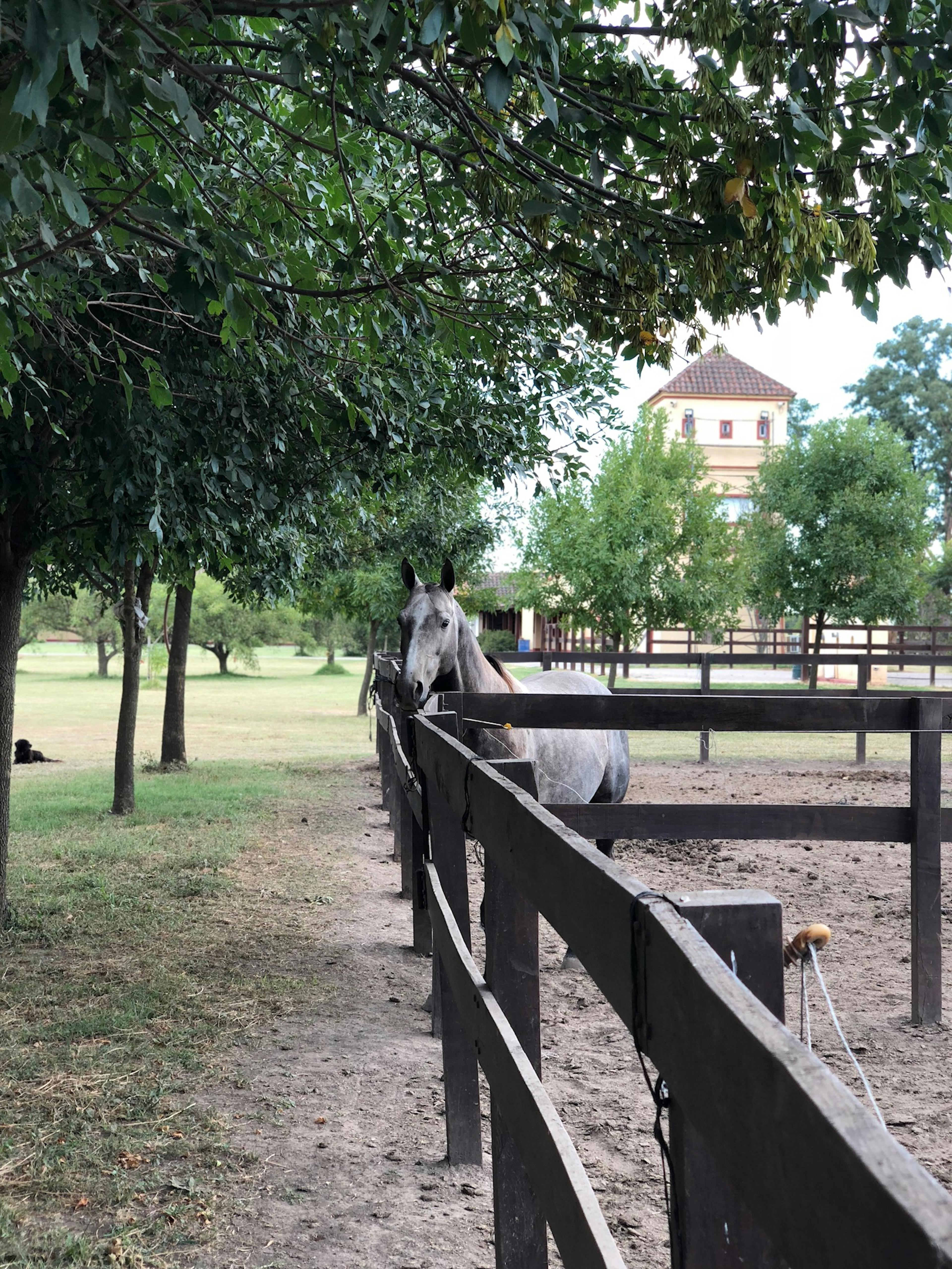 La ilusión polo, naturaleza, campo, familia, descanso, exclusivo