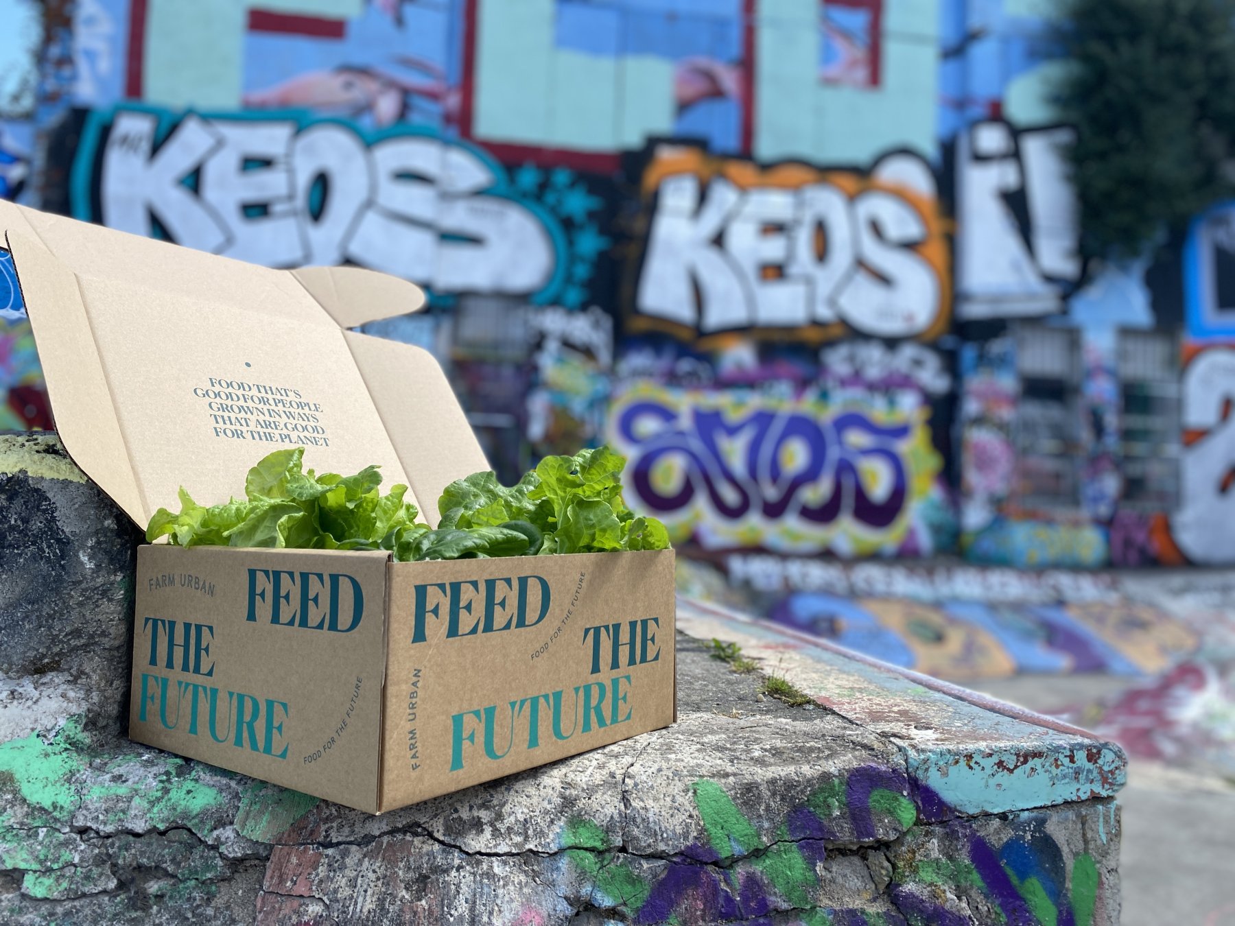 Vertical farming event in Loughborough Junction