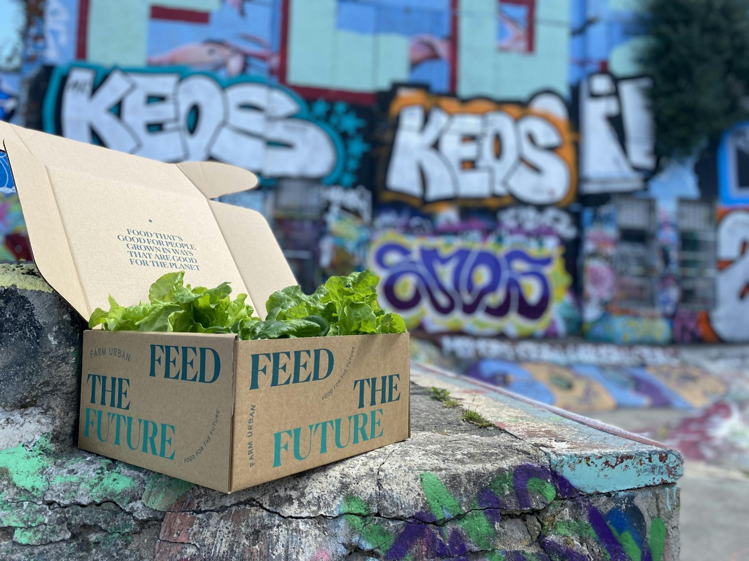 Vertical farming event in Loughborough Junction