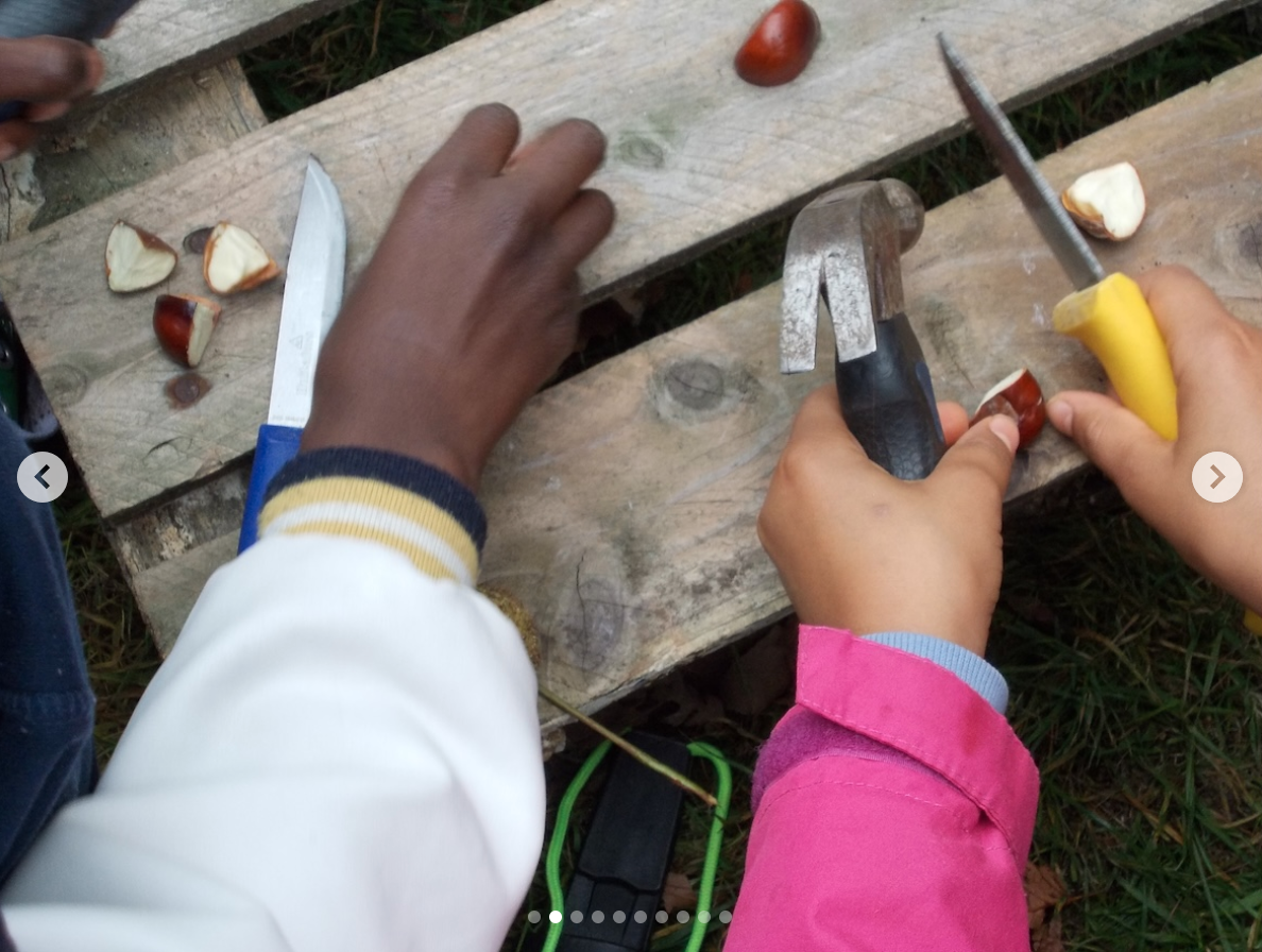 Free Family Forest School with Nature Vibezzz