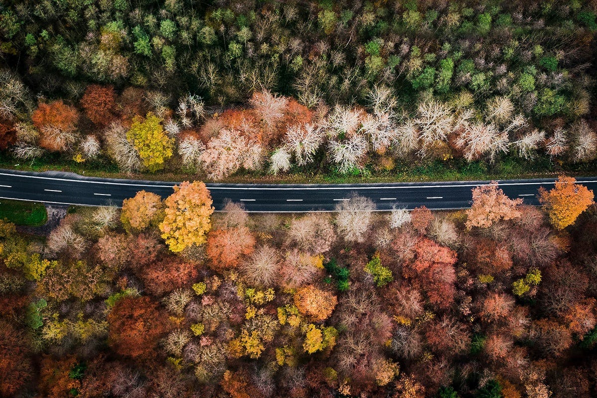 L'importance des saisons
