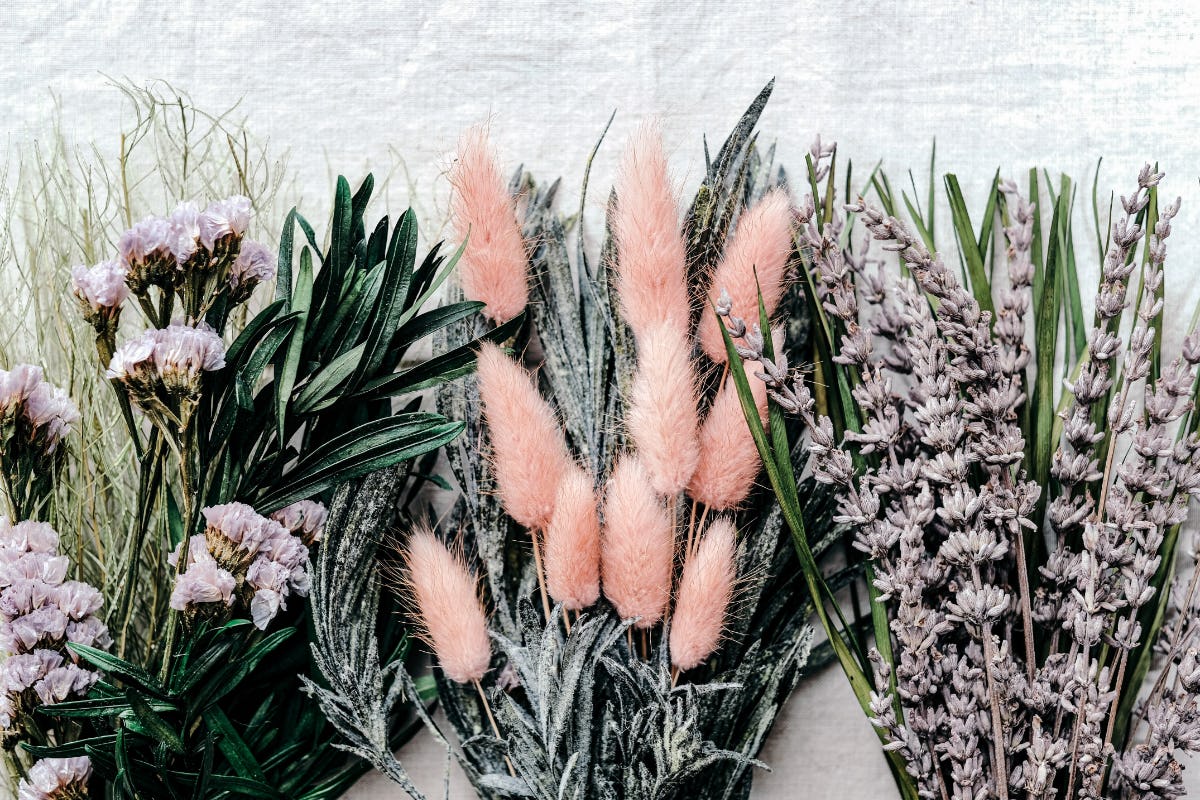 Mon histoire d’amour avec les Fleurs séchées