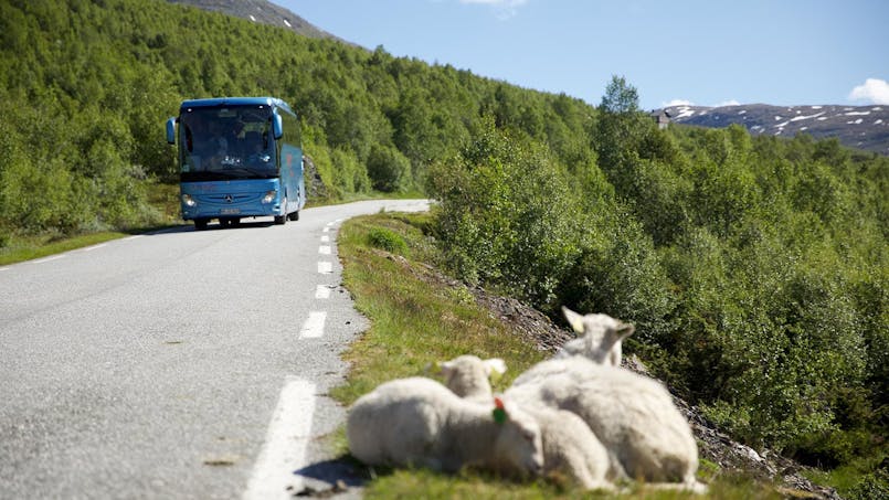 Tourismo hópferðabíll