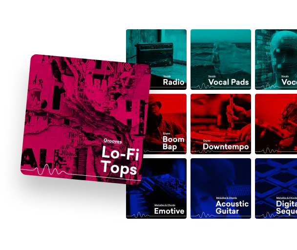 Samples - Get Sample Packs, Loops and One Shots | LANDR