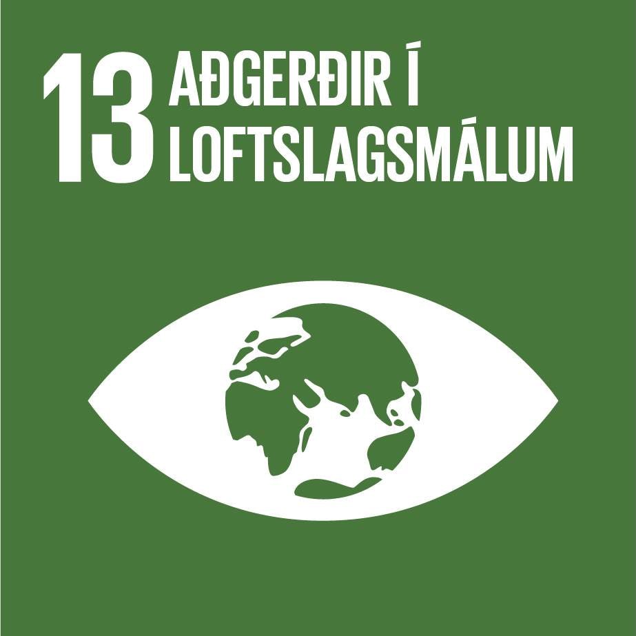 Heimsmarkmið 13 aðgerðir í loftslagsmálum