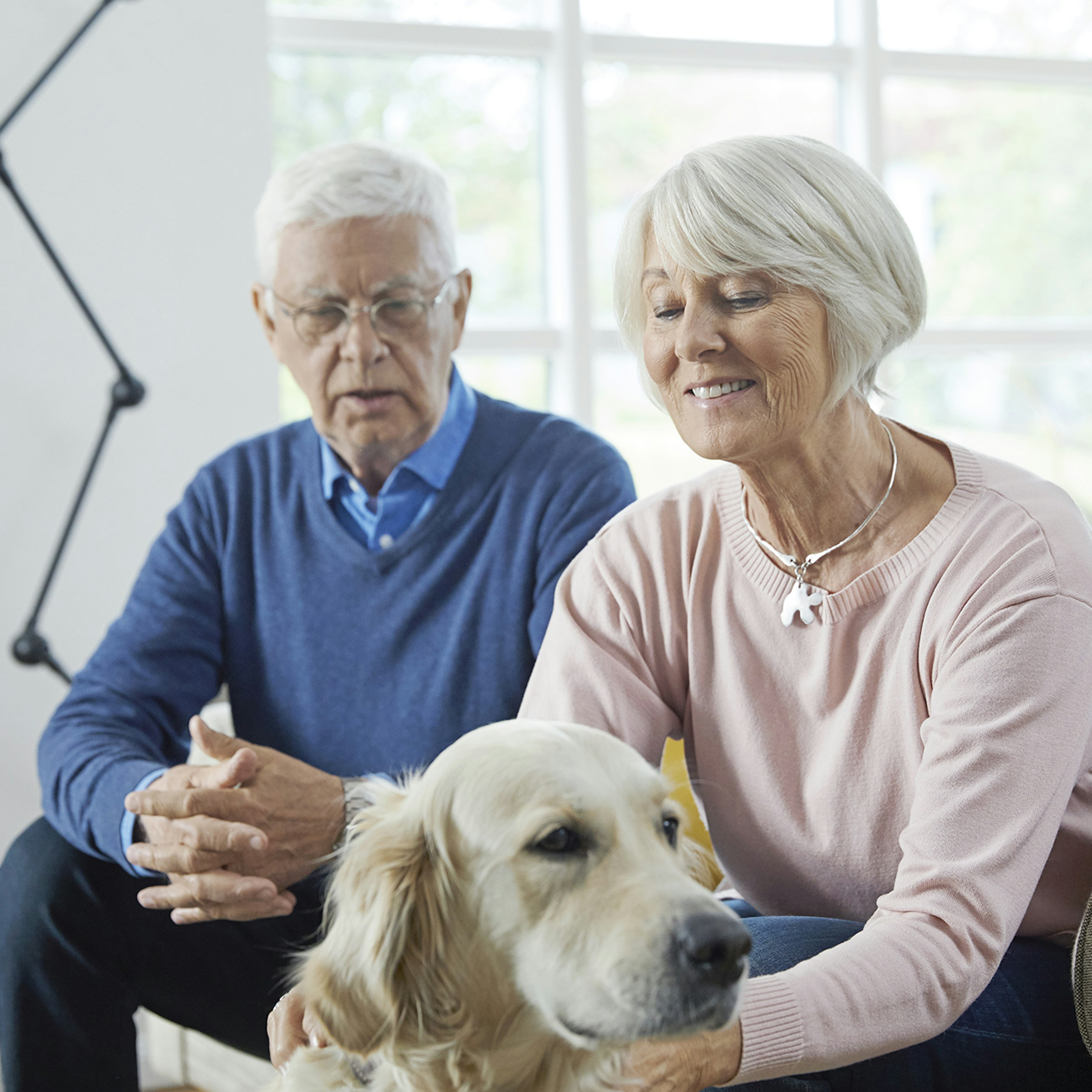 Eldri hjón með hund