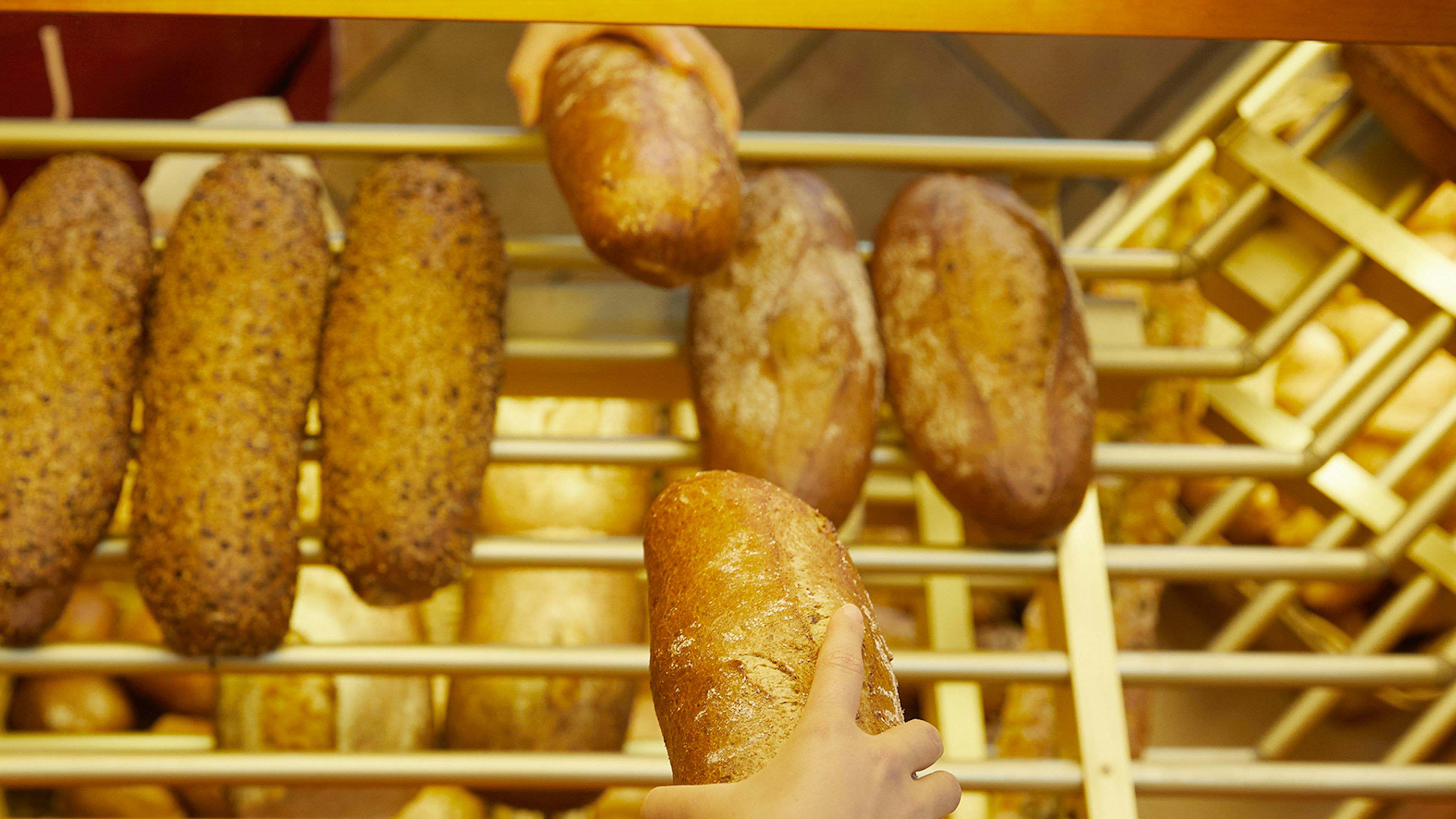 Bakarí