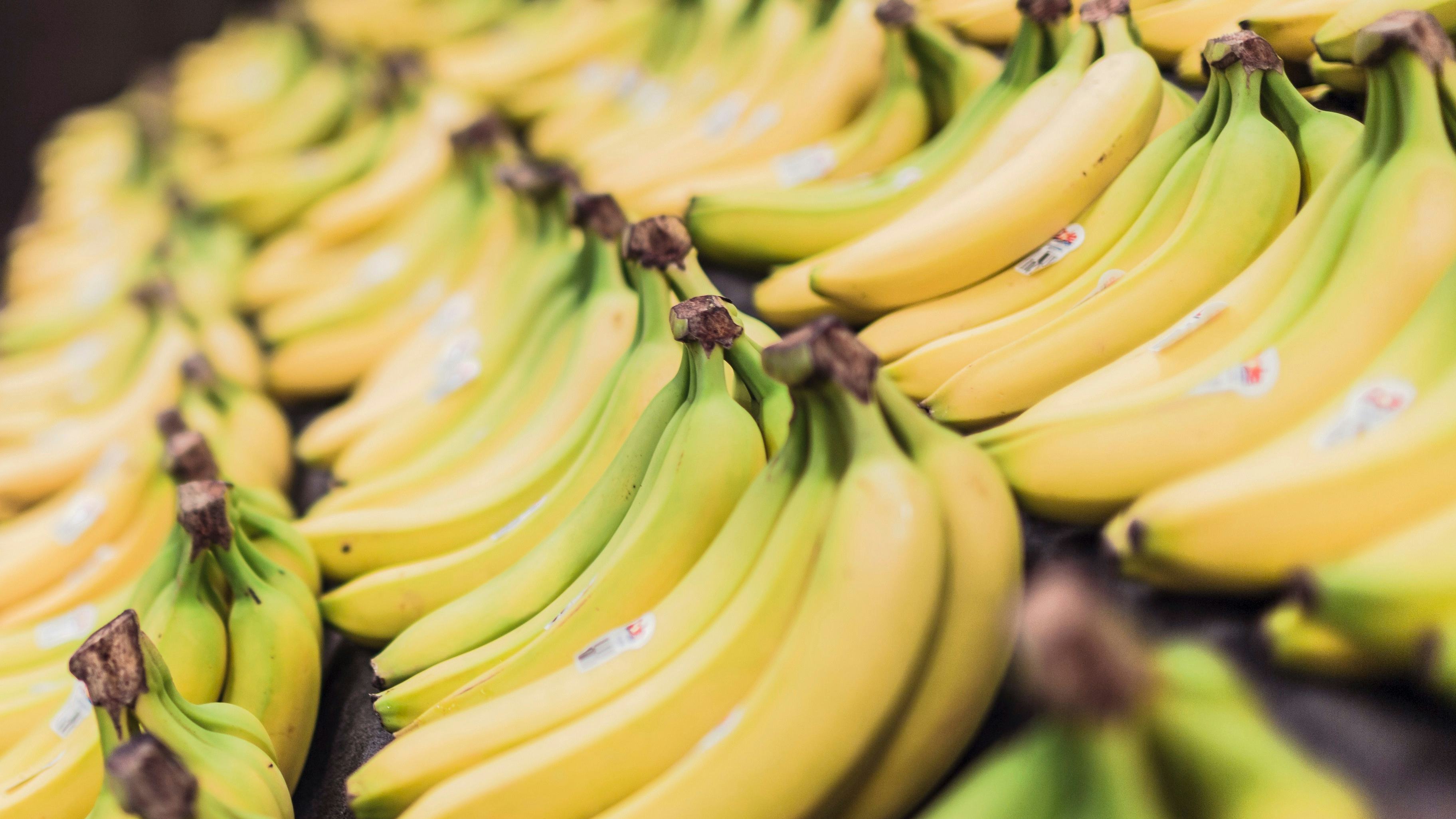 Bananar