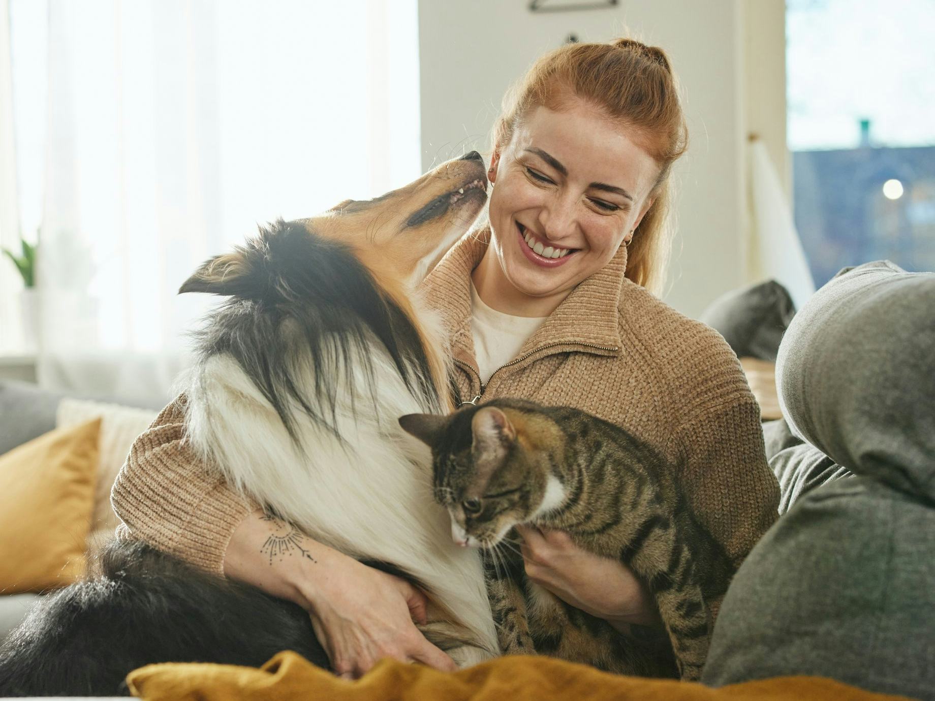 Kona með hund og kött