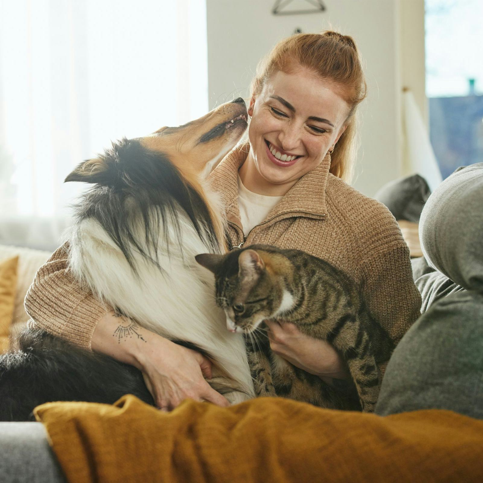 Kona með hund og kött