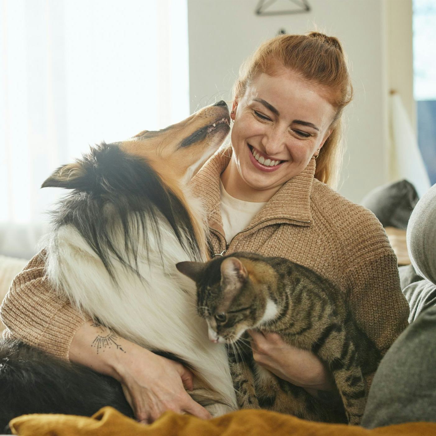 Kona með hund og kött