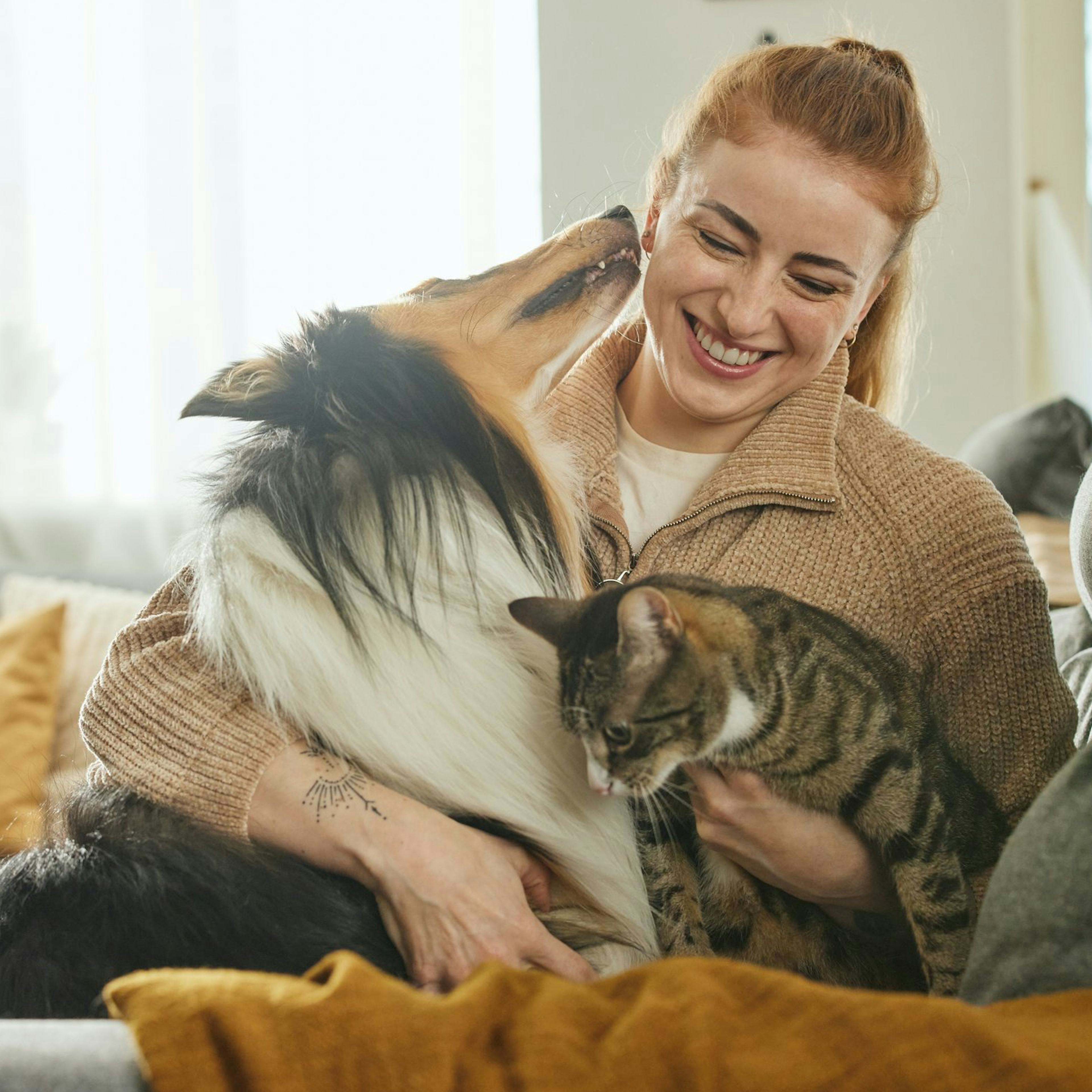 Kona með hund og kött