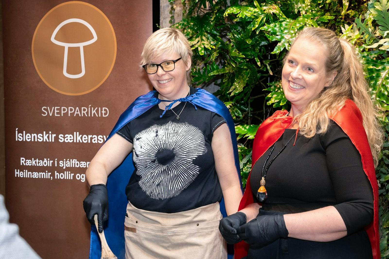 Svepparíkið
