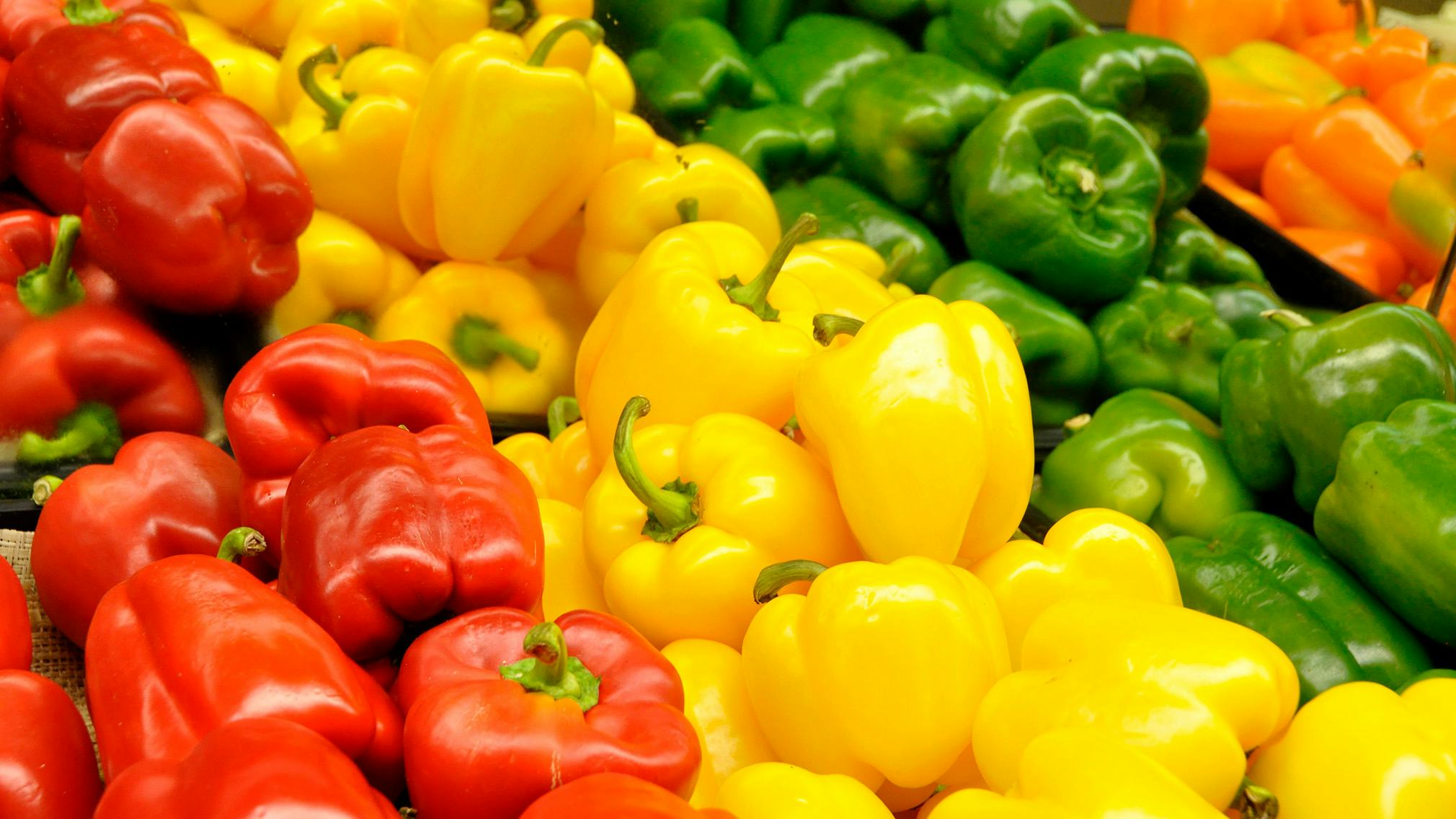 Paprika
