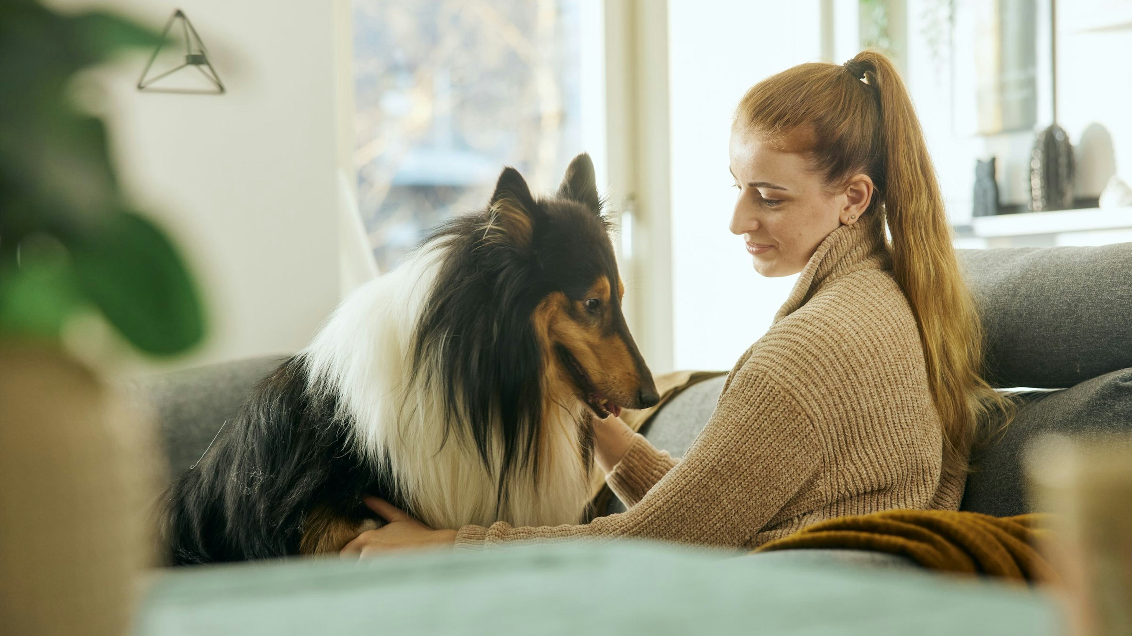 Kona með hund