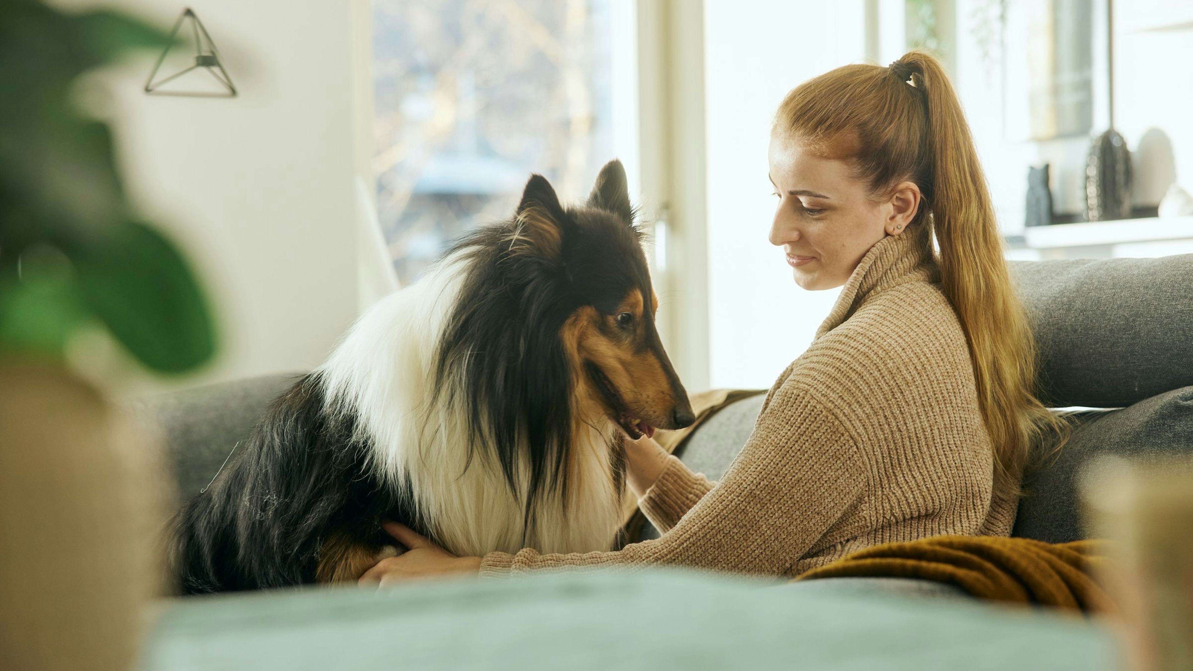 Kona með hund