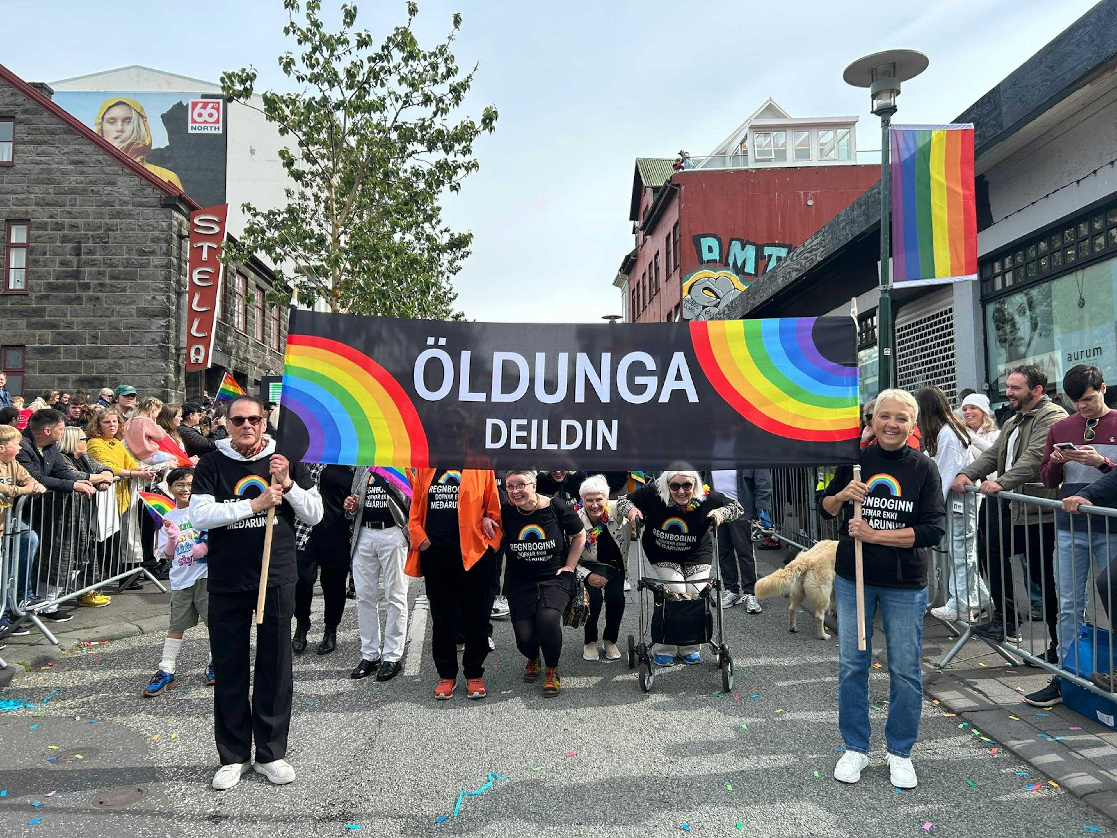 Öldungadeildin í gleðigöngunni