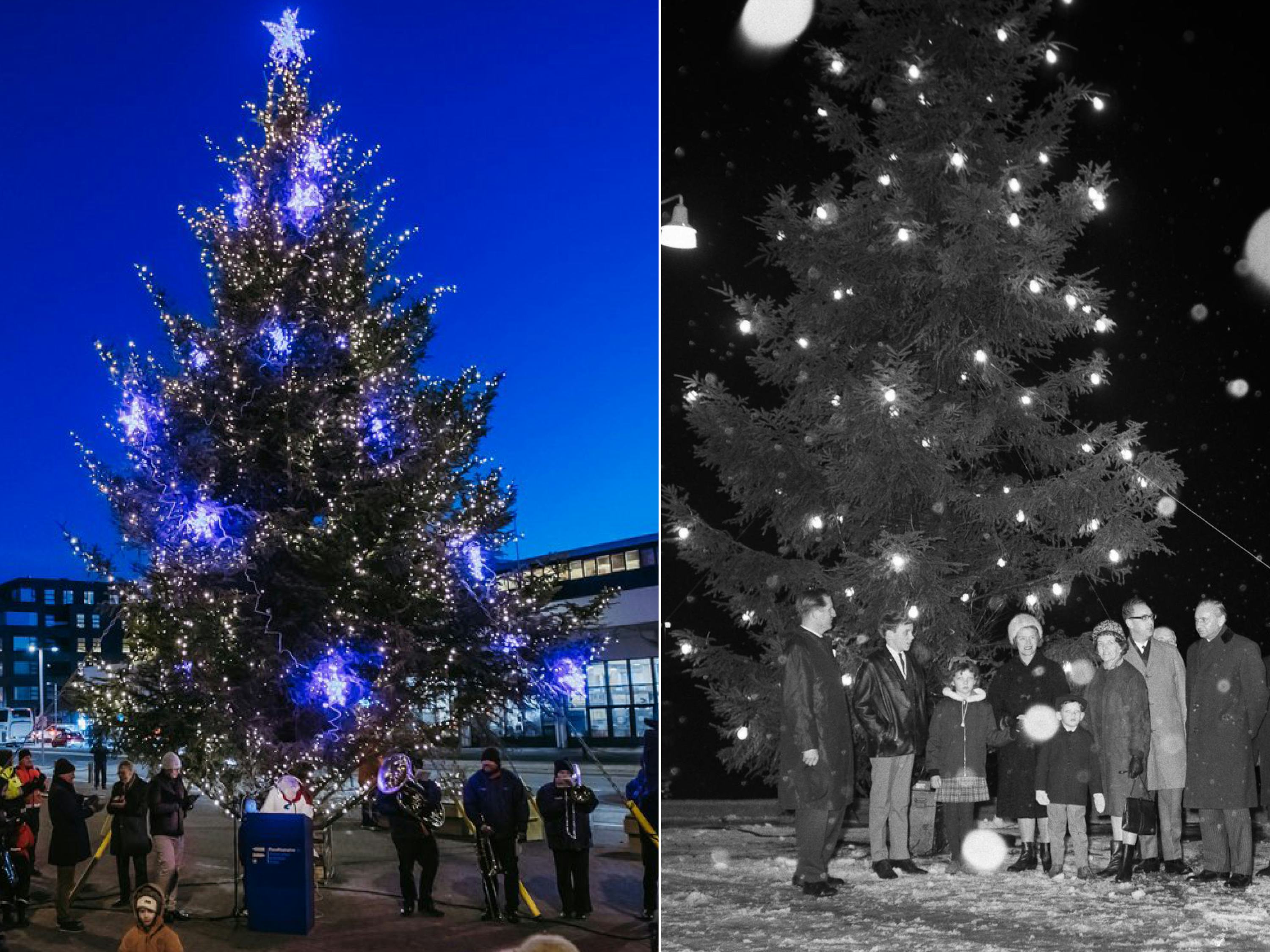 Tendrun ljósa á Hamborgartrénu