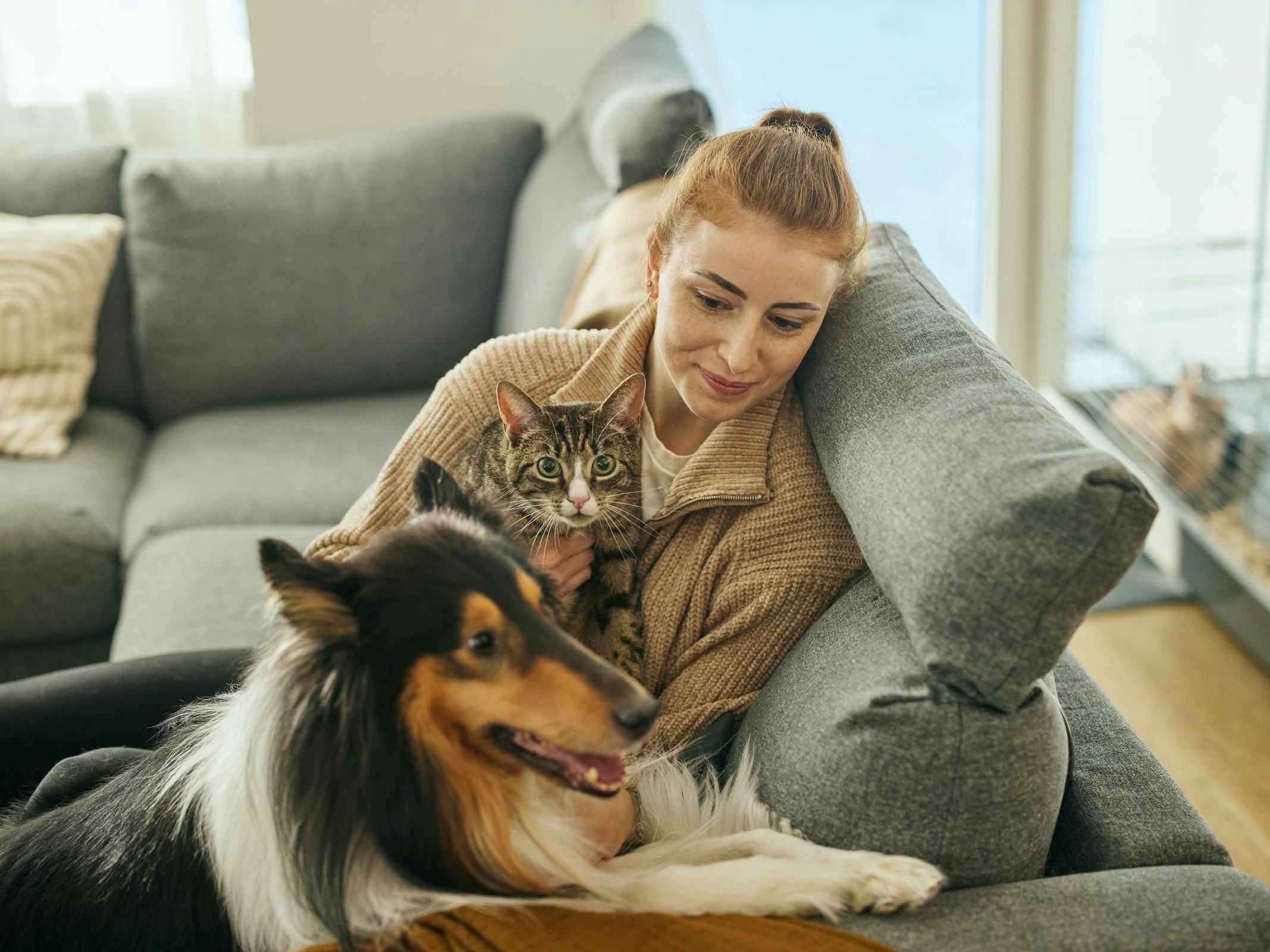 Kona með hund og kött
