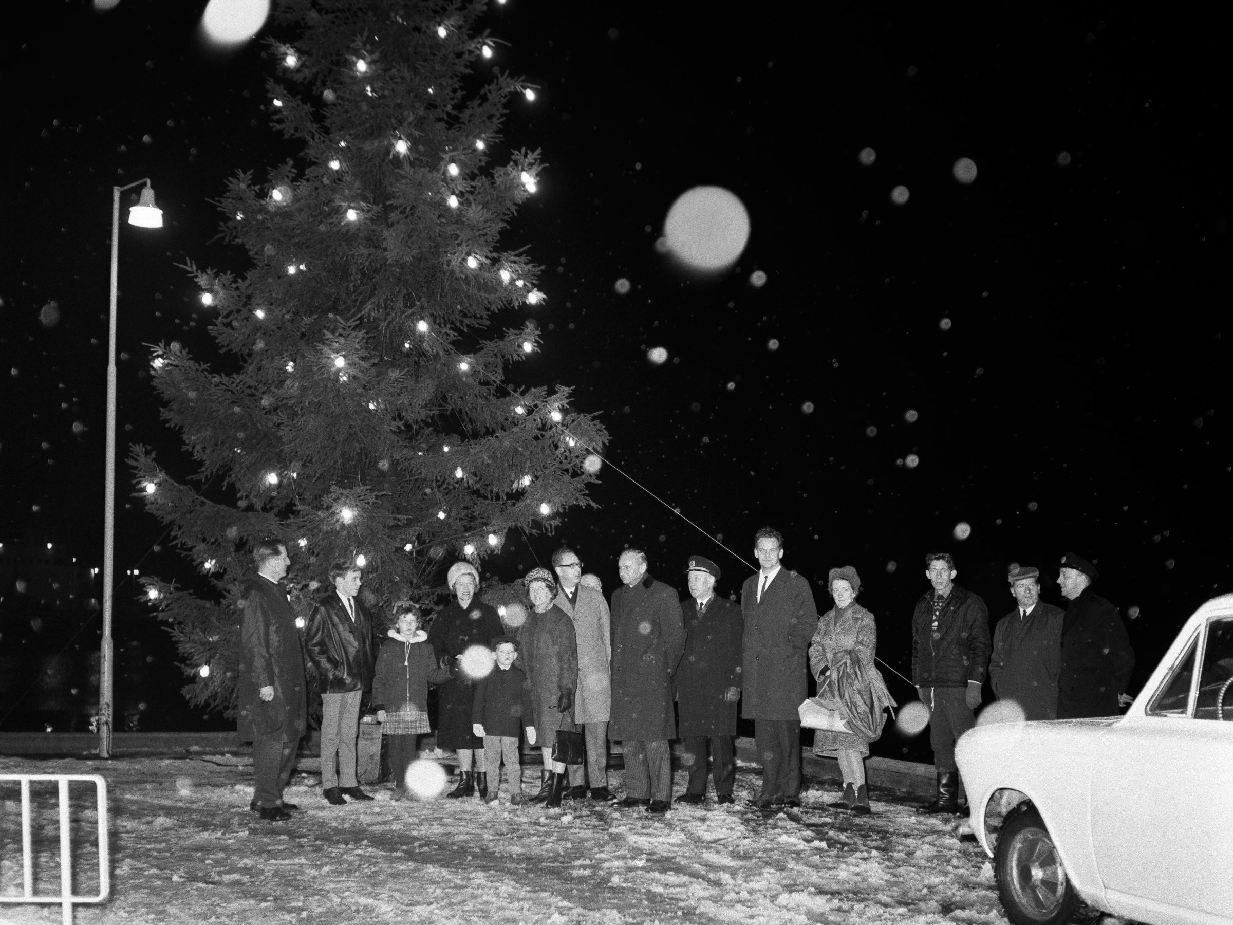 Hamborgartréð tendrað