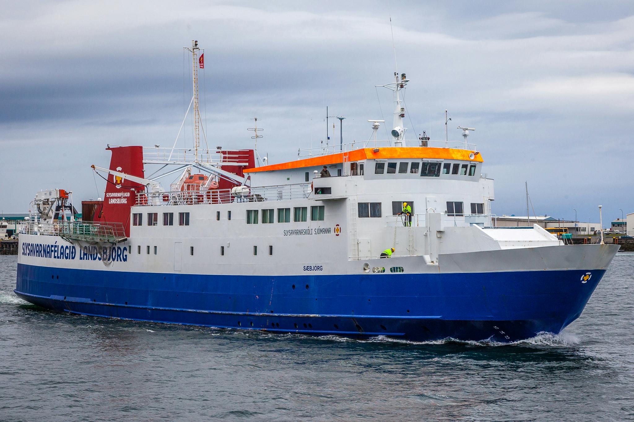 Katta xorozdan konvulsiv orgazm