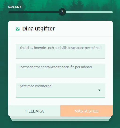 Snabblån Loanstep - Steg 4
