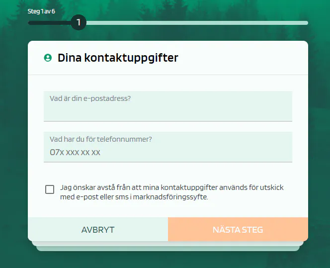 Snabblån Loanstep - Steg 2